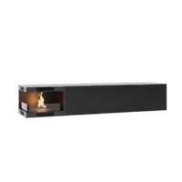 Ethanol Kamine