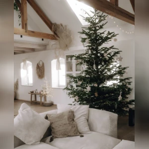 HAPPY 3. ADVENT –...