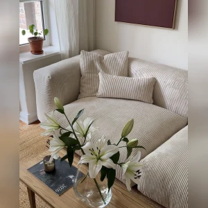 LUNO 🛋️ Designed...